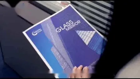 Rahmenlose, eisenarme Form mit 6 mm/8 mm/10 mm/12 mm Float-Sicherheitsglas aus gehärtetem Flachglas für Duschtüren